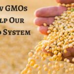 One of Our Food System’s Helping Hands: GMOs
