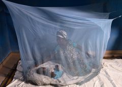 Rwanda on Track to Eradicate Malaria by 2030